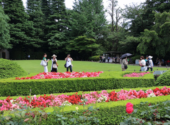 春の旧古河庭園の風景