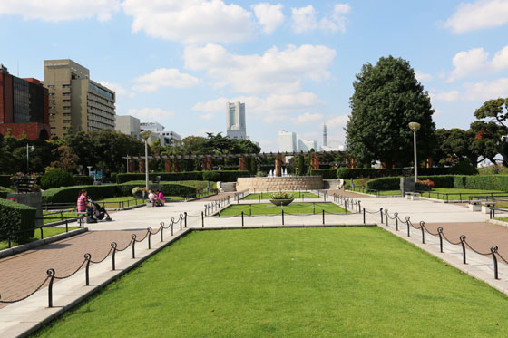 バラ園の風景　山下公園