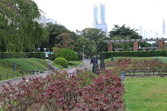 山下公園・バラ園の風景
