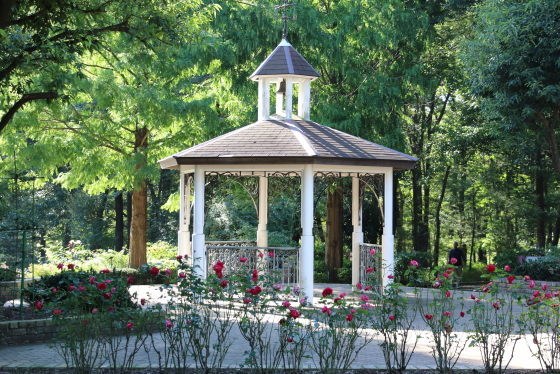 相模原北公園・バラ園の風景