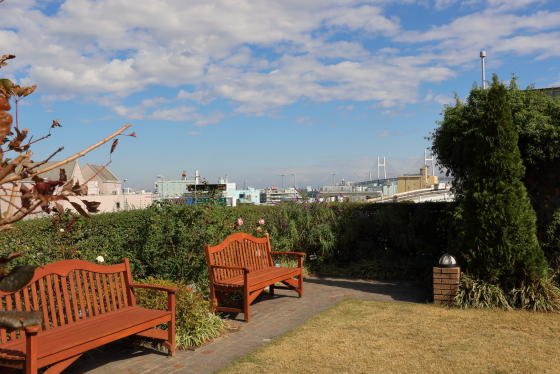 横浜・アメリカ山公園のバラがある風景