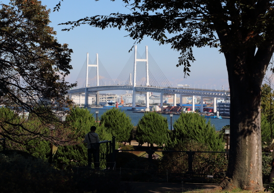 港の見える丘公園からの風景