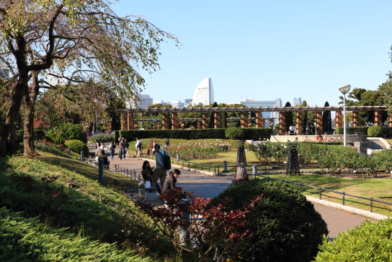 山下公園・バラ園の風景