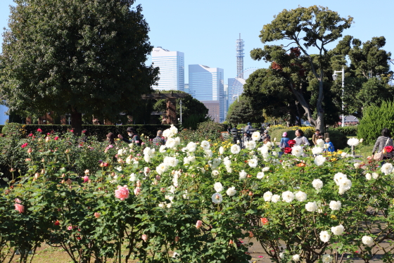春の港の見える丘公園の風景