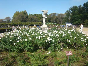 神代植物公園　オブジェ