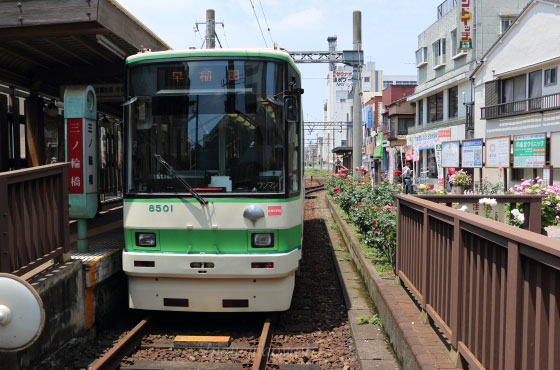 バラ園の風景　都電荒川線