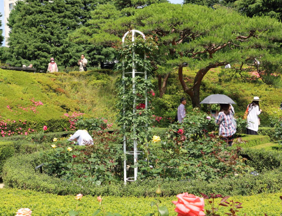 旧古河庭園の風景