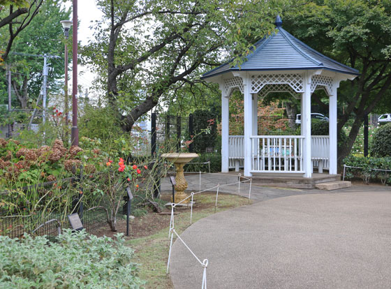 港の見える丘公園・バラ園