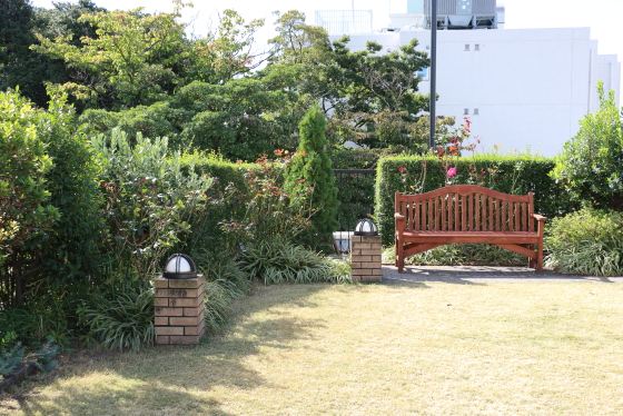 横浜・アメリカ山公園・バラ園の風景