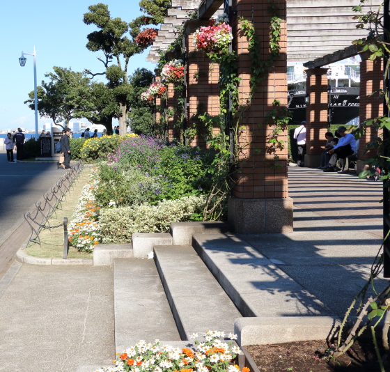 横浜・山下公園の風景