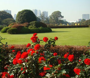 新宿御苑　風景