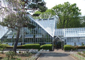 東京都薬用植物園の入り口正面