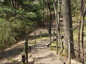 東京薬科大学の植物園　広大な敷地面積です