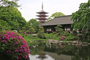 伝法院に隣接する五重塔が池にうつっている