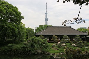 伝法院の庭からスカイツリーが観えます