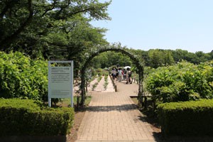 神代植物公園・バラ園の入口