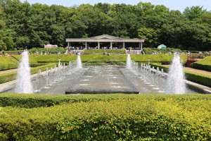 神代植物公園・バラ園内の噴水です