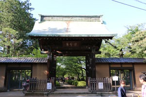 豪徳寺の山門