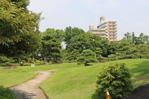 晴れた日に清澄庭園へ 植物園 東京都江東区にある都立庭園 イパネマおやじ イパネマおやじ ハーブとバラ 育てる楽しさは１株から心と風景が豊かになる夢の時間