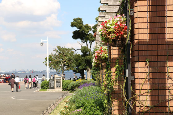 早春の山下公園にて