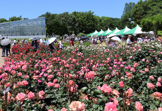 神代植物公園の風景