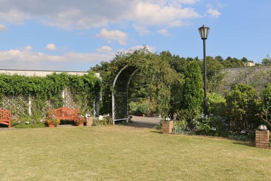 アメリカ山公園・バラ園の風景