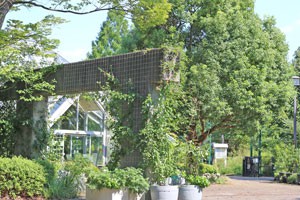 植物園　多摩グリーンライブセンター