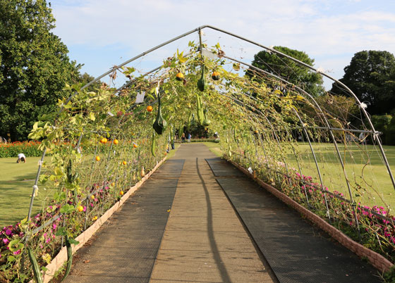 秋の大船植物園の風景