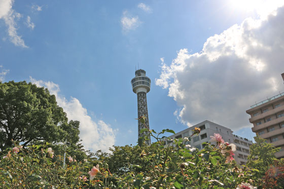 港の見える丘・山下公園