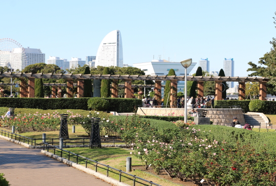 山下公園・バラ園の風景