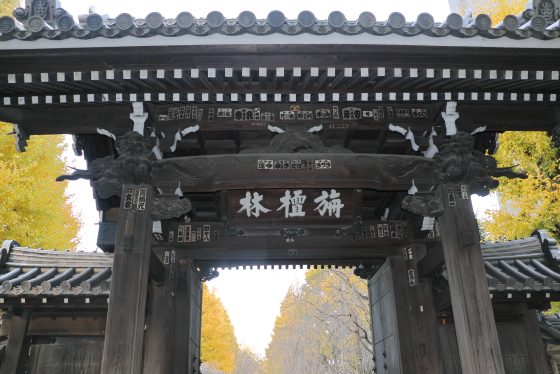 駒込吉祥寺の山門