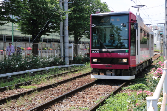 都電荒川線　車両の色が多種類ある