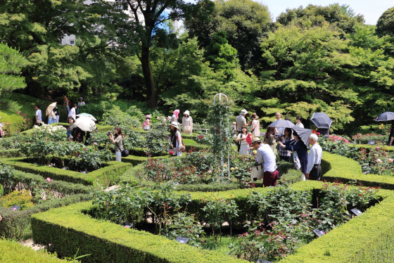 春の旧古河庭園の風景