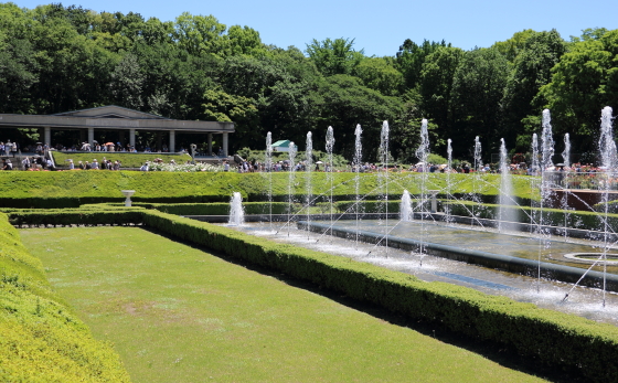 神代植物公園の春バラ