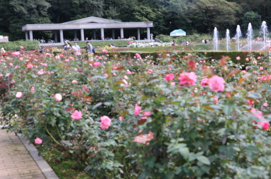 神代植物公園の風景