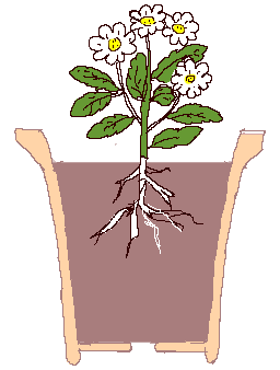 普通の土の分量配合