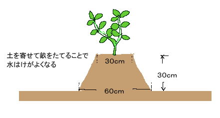 畝を作る