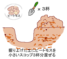 掘り上げた土に肥料を混ぜる