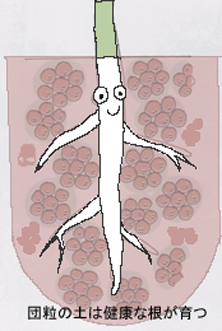 良い土は植物が健康に育つ