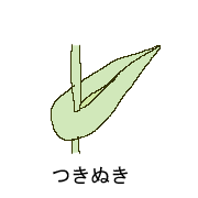 葉の種類イラスト