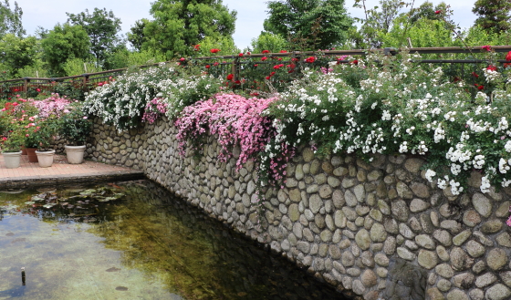 春の花菜ガーデンの風景