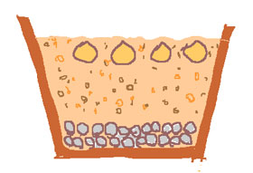 球根のコンテナ栽培　イラスト図