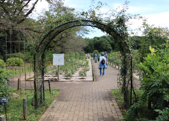 神代植物公園の風景