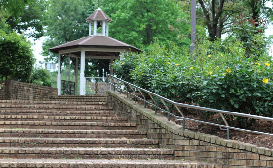 春の相模原北公園のバラ園