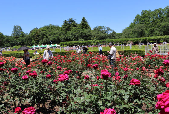 春の神代植物公園の風景