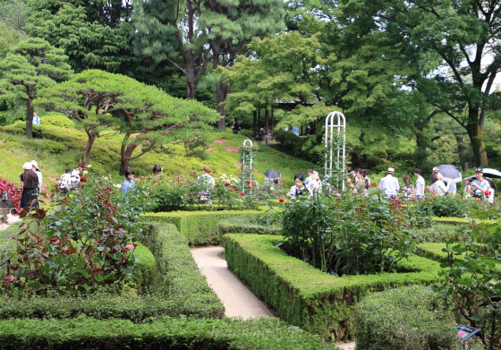 旧古河庭園の風景