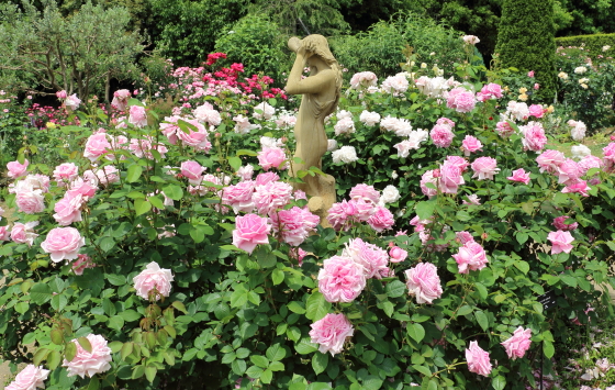 春の晴れた日の花菜ガーデン