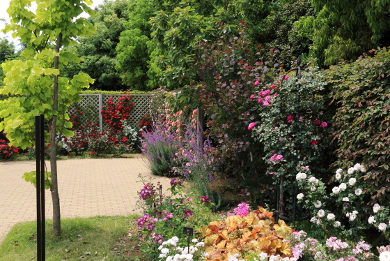 花菜ガーデン・バラ園の風景