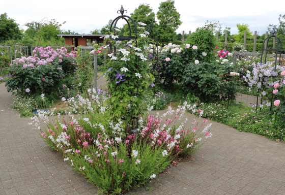 春の花菜ガーデンの景色