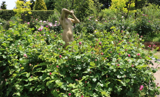 春の花菜ガーデンの風景